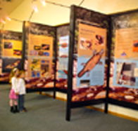 Platypus Experience - Accommodation Guide
