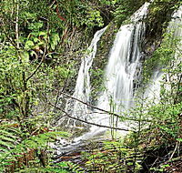 Hogarth Falls - Accommodation Guide