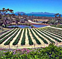 Kate's Berry Farm - Accommodation Guide