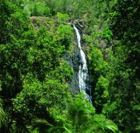 Kondalilla National Park - Accommodation Asia