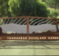 Tasmanian Bushland Garden - Accommodation Guide