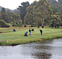 Penguin Golf Course - Accommodation Asia