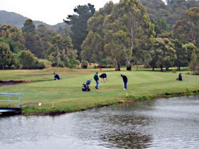 Penguin Golf Course - Accommodation Asia 0