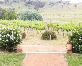 Brindabella Hills Winery - Accommodation Asia 0