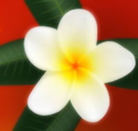 Well Retreat - Day Spa and Teahouse - Accommodation Asia