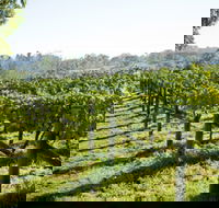 Surveyor's Hill Vineyards - Accommodation Asia