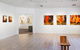 Beaver Galleries - thumb 1