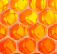 The Honey Pot - Accommodation Asia
