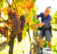 Native Point Wines - Accommodation Guide