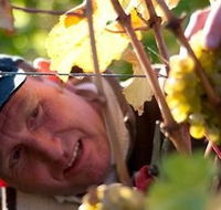 Puddleduck Vineyard - Accommodation Guide