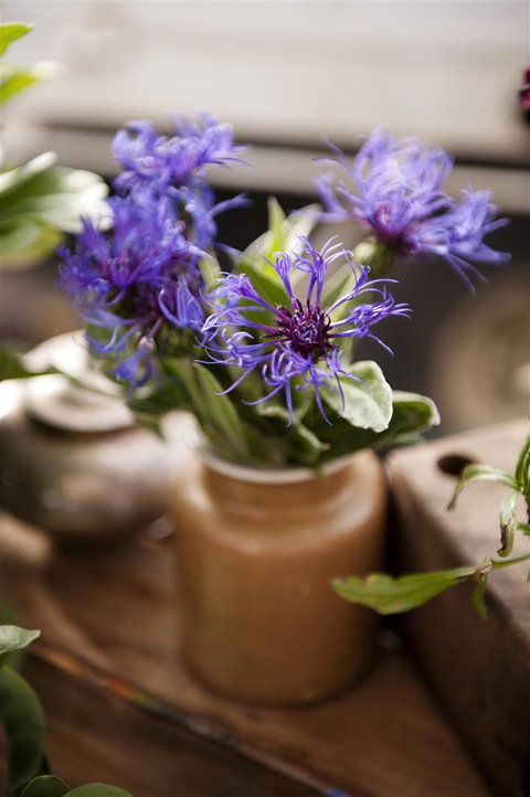 Salamanca Market - Accommodation China 1