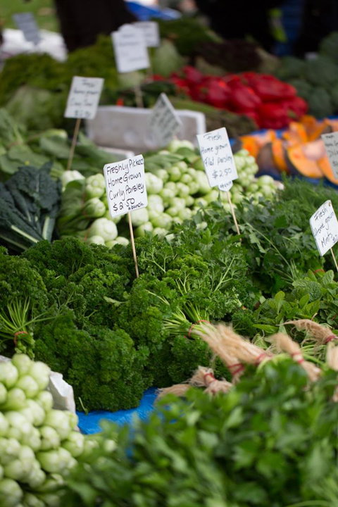 Salamanca Market - Accommodation China 5