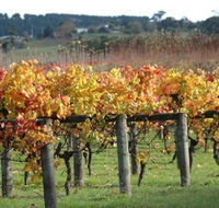 Apsley Gorge Vineyard - Accommodation Guide