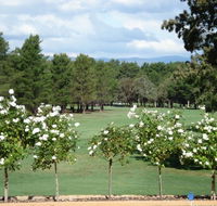 RMC Golf Club - Accommodation China