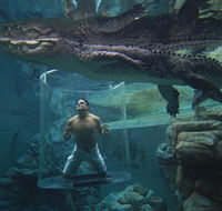 Crocosaurus Cove - Accommodation China