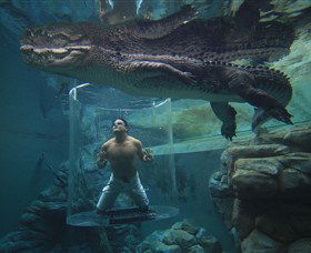 Crocosaurus Cove - Accommodation China 0