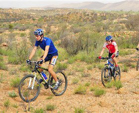 Araluen Mountain Bike Trails - Accommodation Guide 0