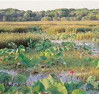Fogg Dam Conservation Reserve - Accommodation Guide