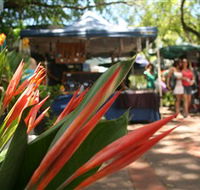 Nightcliff Markets - Accommodation China