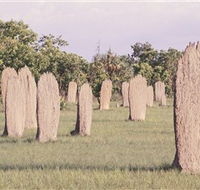 Magnetic Termite Mounds - Accommodation Guide