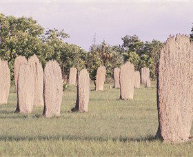 Magnetic Termite Mounds - Accommodation Guide 0