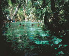 Mataranka Thermal Pool - Accommodation Asia 0