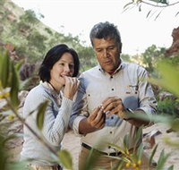 Simpsons Gap - Accommodation Guide