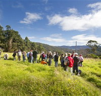 Apple Tree Park - Accommodation Guide