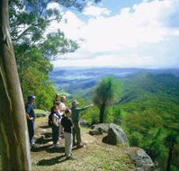Gold Coast Hinterland Great Walk - Accommodation Guide