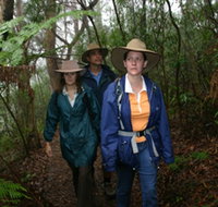 Mount Cougal Springbrook National Park - Accommodation Guide