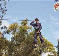 Adventure Parc at Currumbin Wildlife Sanctuary - Accommodation Guide