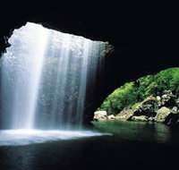 Natural Bridge Springbrook National Park - Accommodation Guide