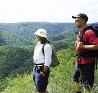Sunshine Coast Hinterland Great Walk - Accommodation Asia