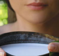 Ikatan Day Spa - Accommodation Guide