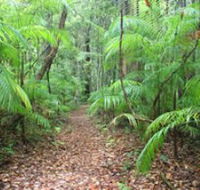 Delicia Road Conservation Park - Accommodation Asia
