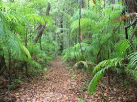 Delicia Road Conservation Park - Accommodation Asia 0