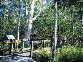 Noosa Heads QLD Accommodation Guide