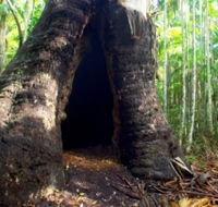 Tewantin National Park - Accommodation Asia