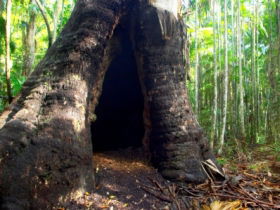 Tewantin National Park - Accommodation Guide 0