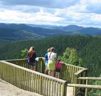 Kenilworth Forest Reserve - Accommodation Guide