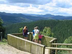 Kenilworth Forest Reserve - Accommodation Guide 0