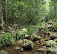 Amamoor State Forest - Accommodation Guide
