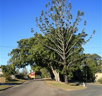 Anzac Avenue Memorial Trees Beerburrum - Accommodation Asia