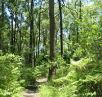 Mapleton Falls National Park - Accommodation Asia