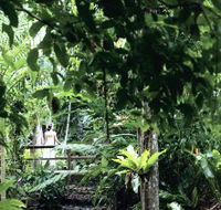 Flecker Botanic Gardens - Accommodation China