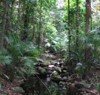 Mossman Gorge Rainforest Circuit Track Daintree National Park - Accommodation China