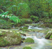 Mossman Gorge Daintree National Park - Accommodation China