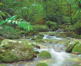 Mossman Gorge, Daintree National Park - Accommodation China 0