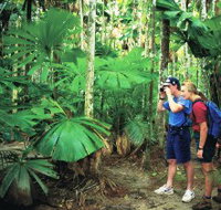 Mount Sorrow Ridge Trail Daintree National Park - Accommodation China