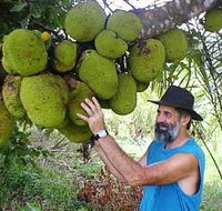 Cape Trib Exotic Fruit Farm - Accommodation China